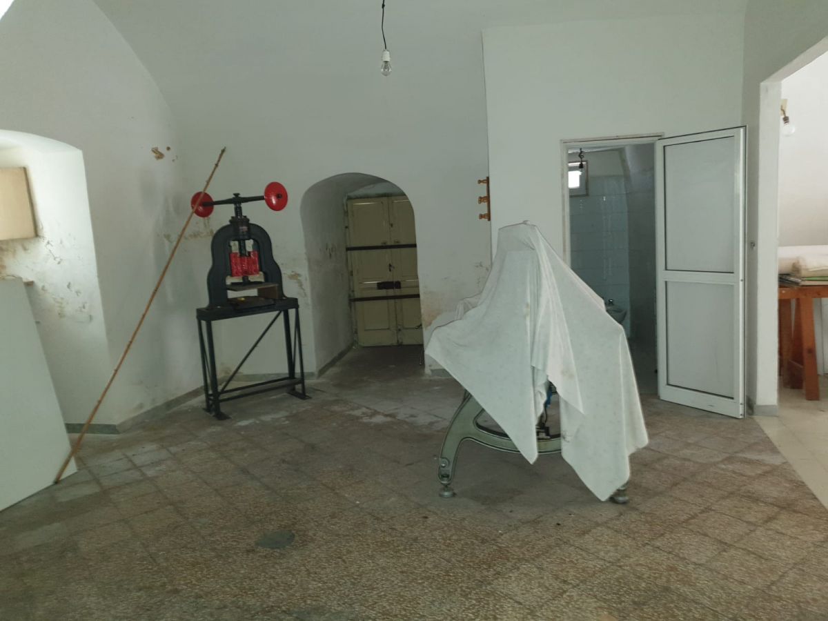 TRIGGIANO MONOVANO CON CANTINA