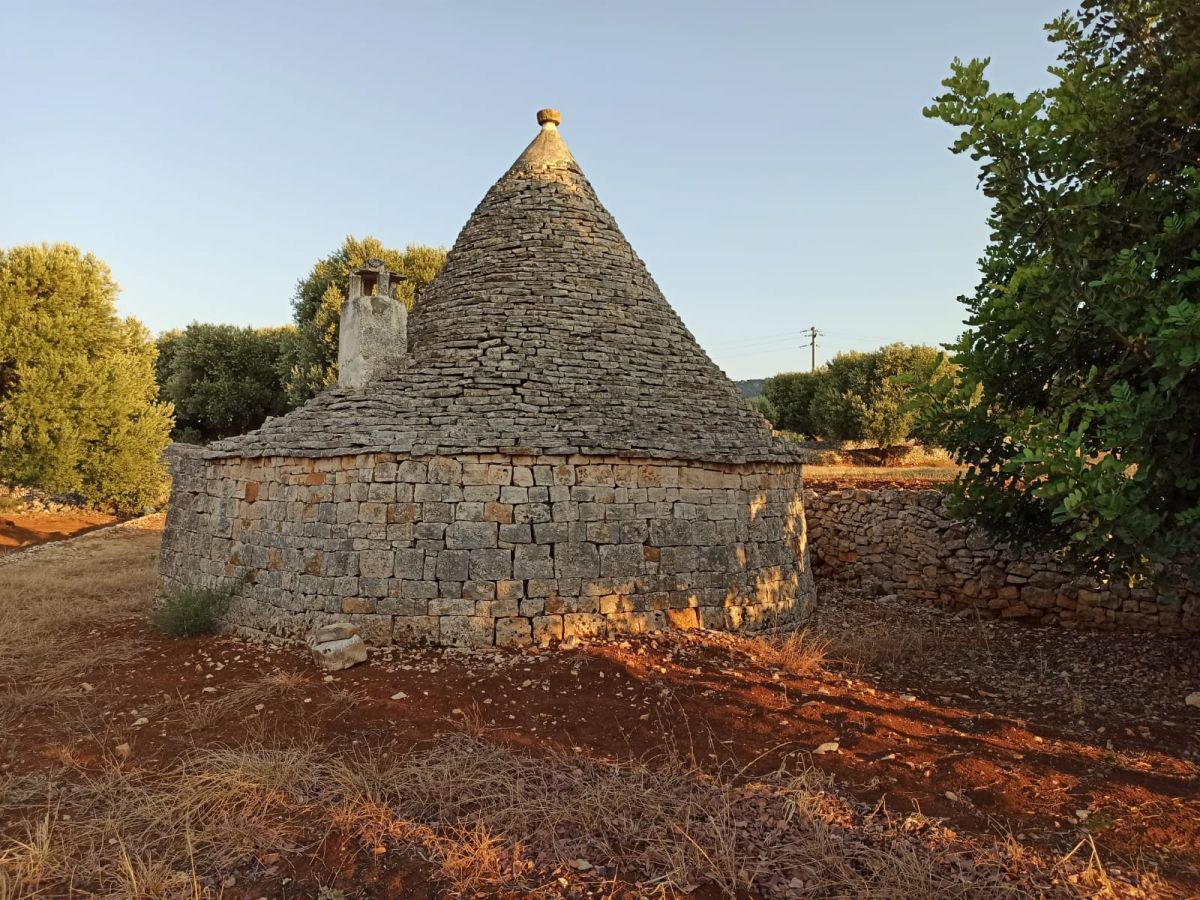 Trullo/30000 mq  a Fasano