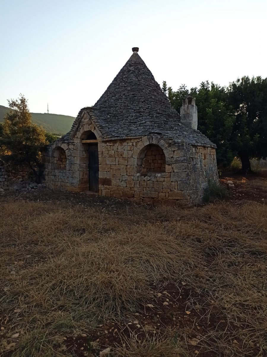 Trullo/30000 mq  a Fasano