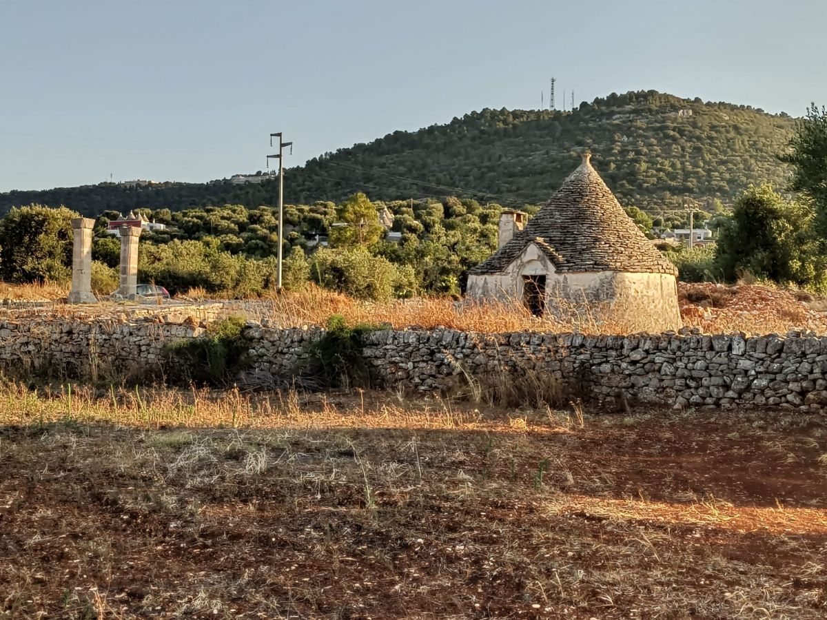 Trullo/30000 mq  a Fasano