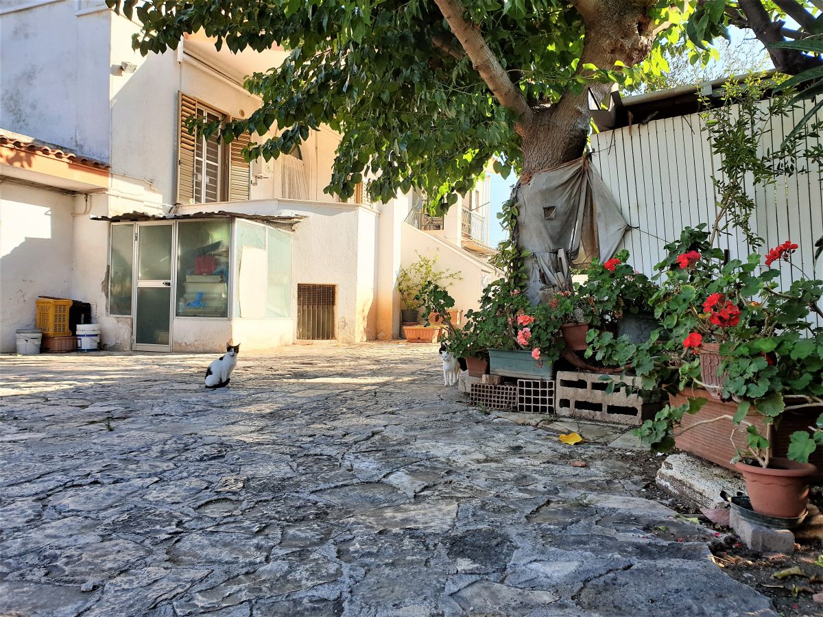 Villa antica di 3 vani e abitazione 2 vani a Bari - Mungivacca (zona nei pressi Stazione di Mungivacca)