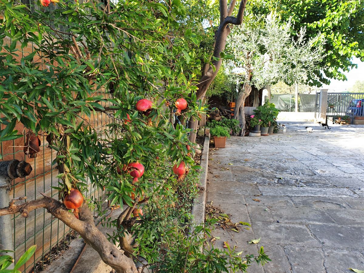 Villa antica di 3 vani e abitazione 2 vani a Bari - Mungivacca (zona nei pressi Stazione di Mungivacca)