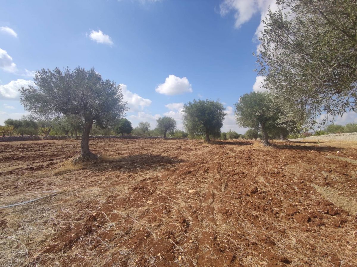 Terreno a Conversano