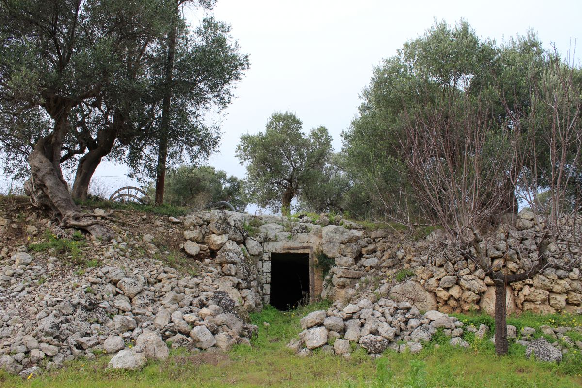 Terreno agricolo vicinanze mare