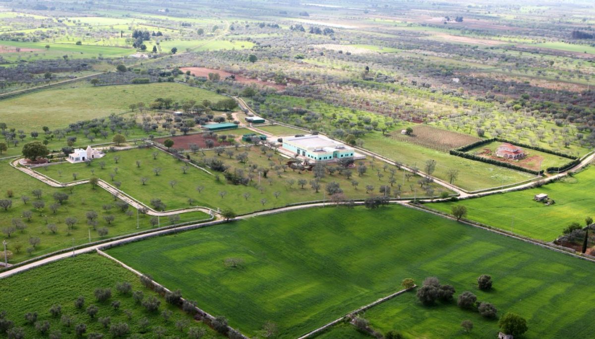 COMPLESSO IMMOBILIARE AGRICOLO - GIOIA DEL COLLE