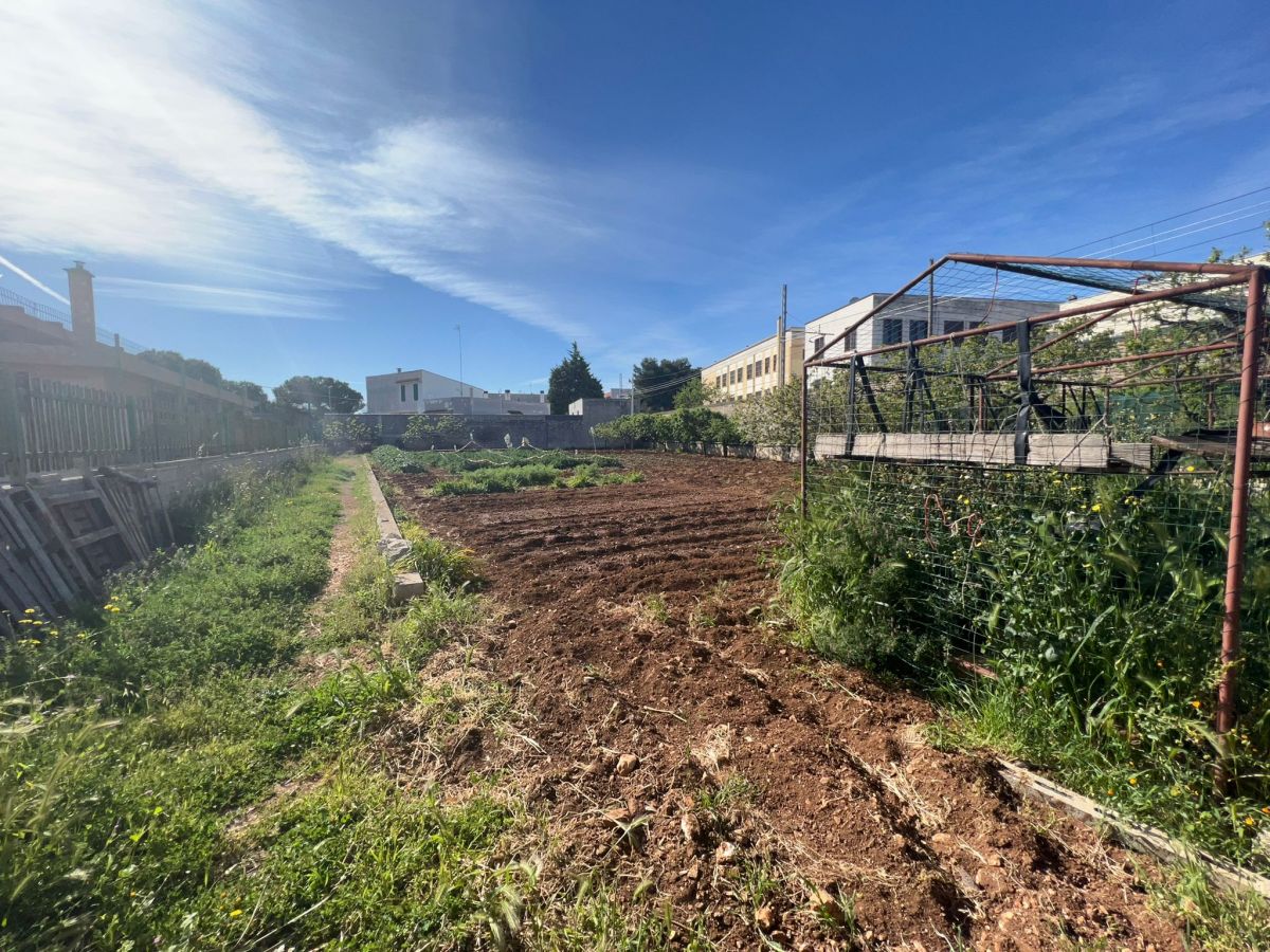 Palazzo / Stabile di  6 vani /400 mq  a Conversano (zona Liceo Scientifico)