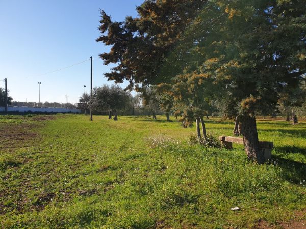 Terreno agricolo/sportivo  a Bari - Japigia (zona vicinanze Palaghiaccio)