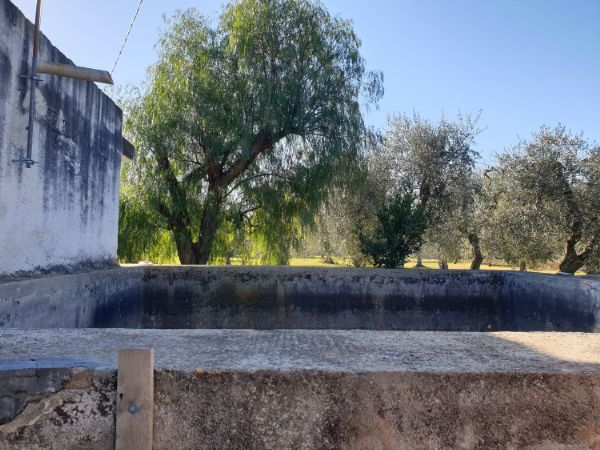 Terreno agricolo/sportivo  a Bari - Japigia (zona vicinanze Palaghiaccio)