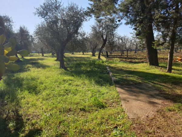 Terreno agricolo/sportivo  a Bari - Japigia (zona vicinanze Palaghiaccio)