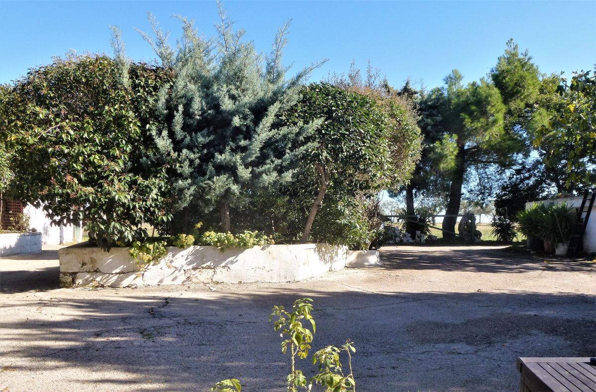 Masseria a Cassano delle Murge (zona foresta Mercadante)