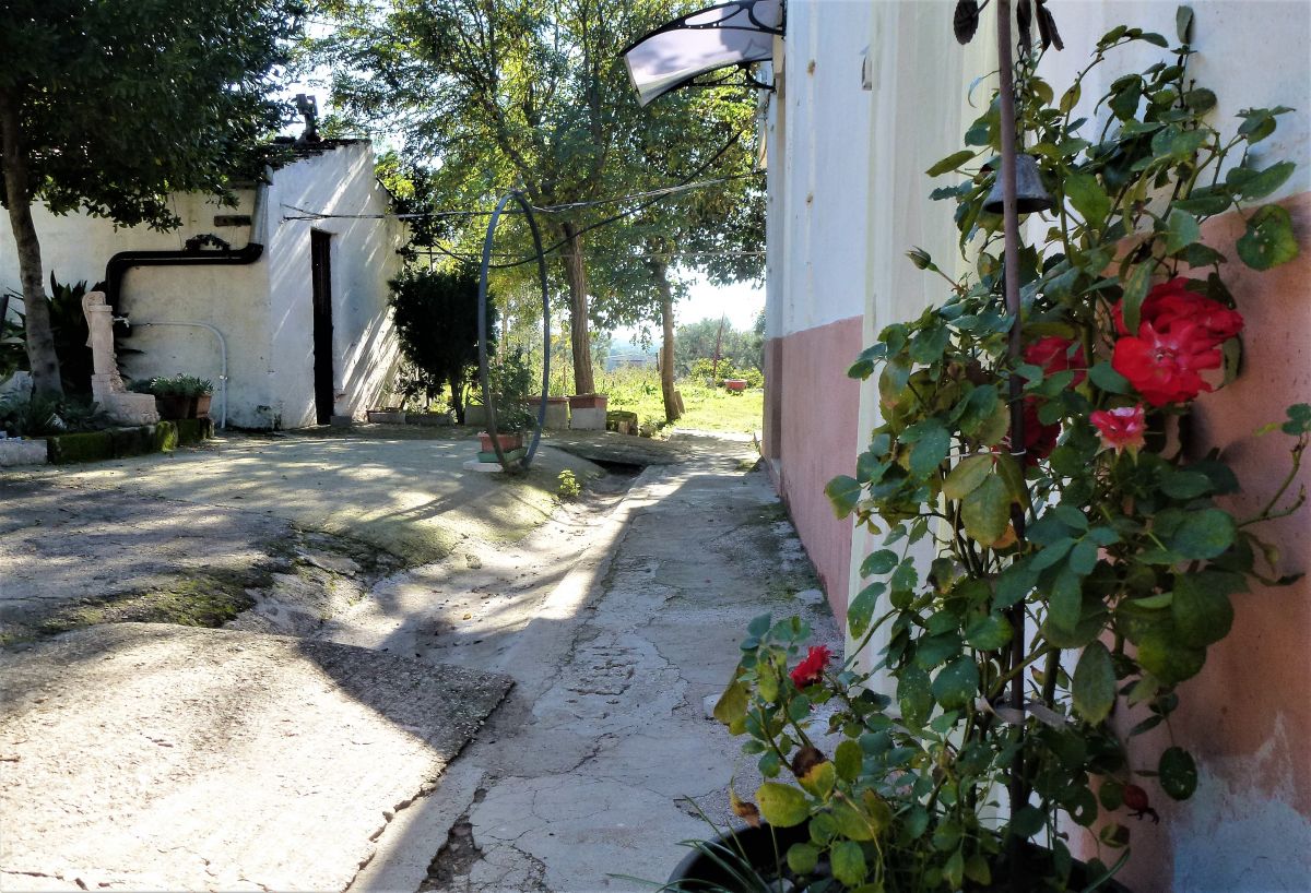 Masseria a Cassano delle Murge (zona foresta Mercadante)