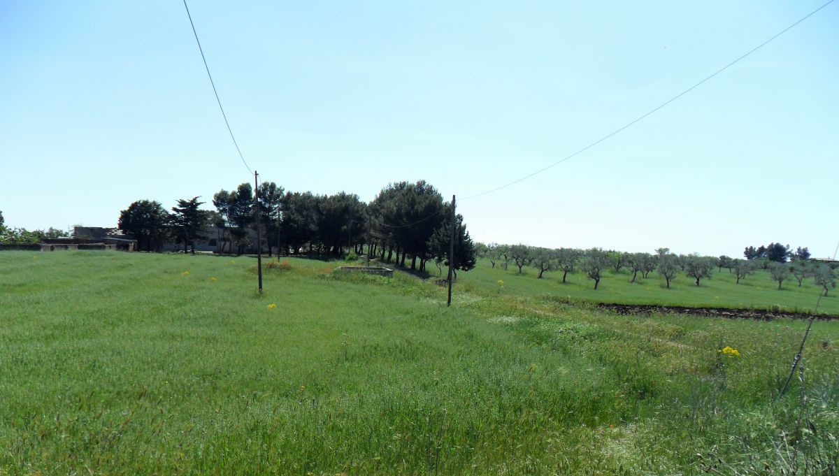 Masseria a Cassano delle Murge (zona foresta Mercadante)