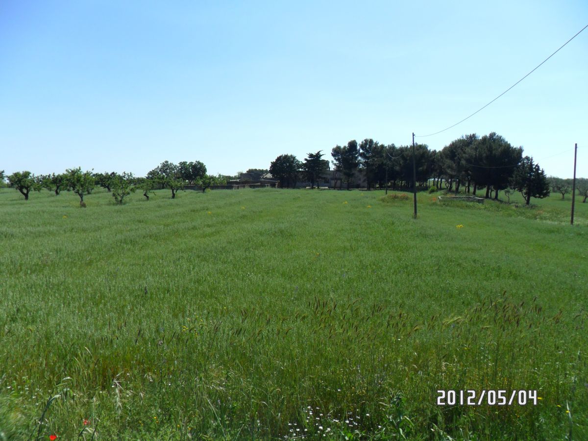 Masseria a Cassano delle Murge (zona foresta Mercadante)