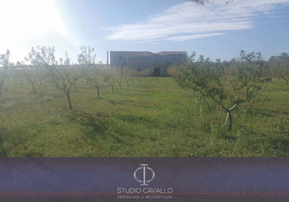 Rustico / Casale / Masseria di  6 vani /270 mq  a Bitonto