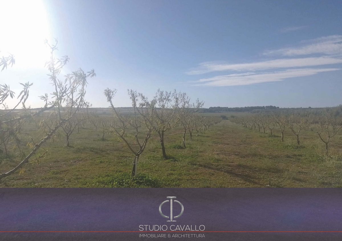 Rustico / Casale / Masseria di  6 vani /270 mq  a Bitonto