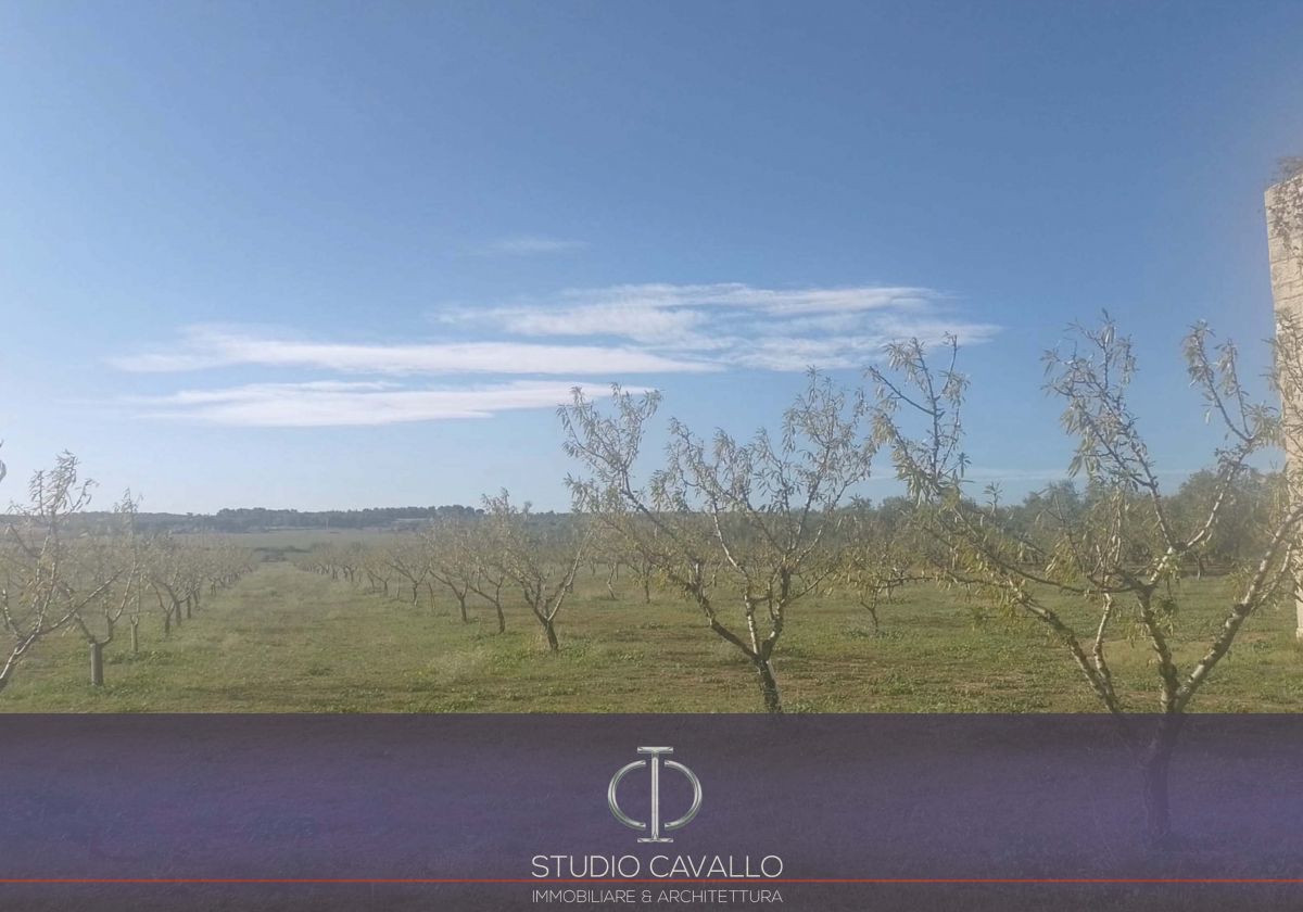 Rustico / Casale / Masseria di  6 vani /270 mq  a Bitonto