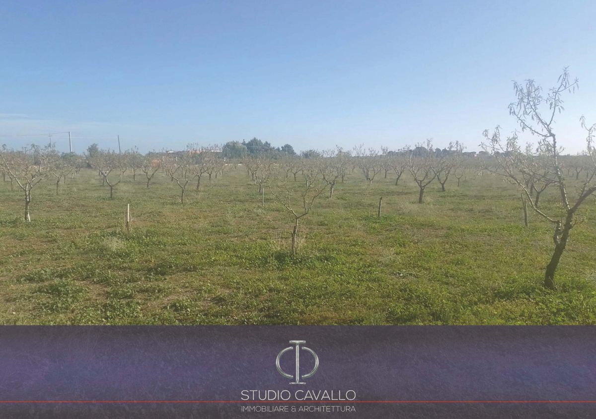 Rustico / Casale / Masseria di  6 vani /270 mq  a Bitonto