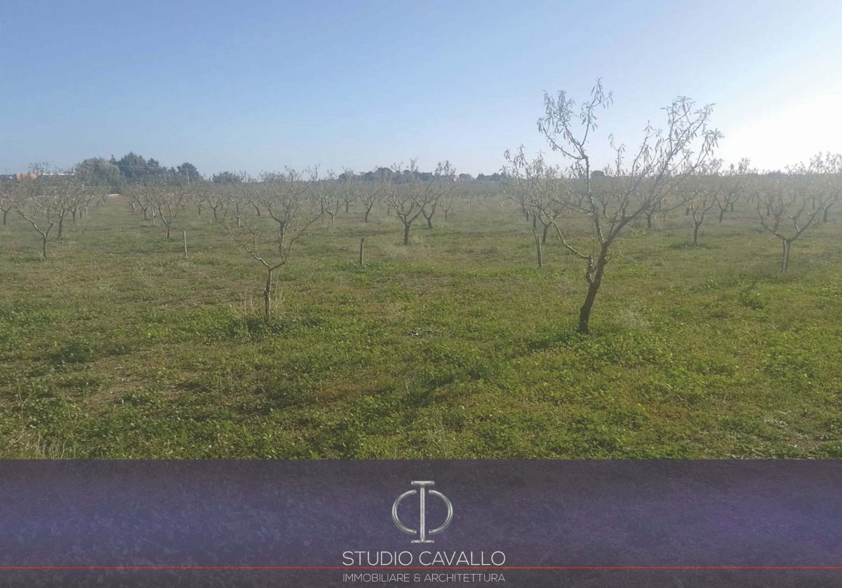 Rustico / Casale / Masseria di  6 vani /270 mq  a Bitonto