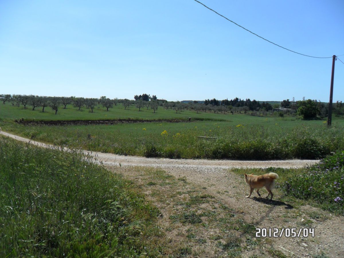 Masseria a Cassano delle Murge (zona foresta Mercadante)