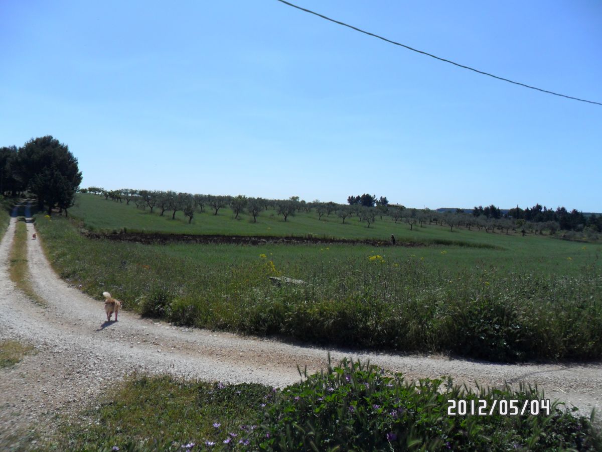 Masseria a Cassano delle Murge (zona foresta Mercadante)