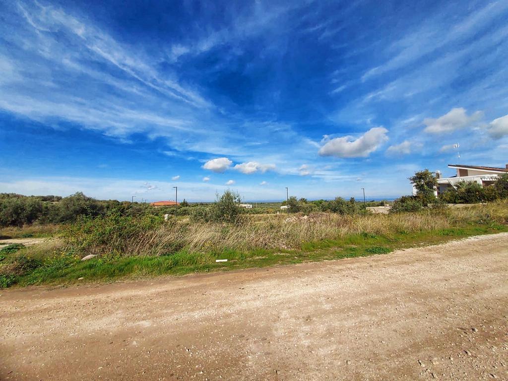 Terreno Edificabile residenziale a Ruvo di Puglia