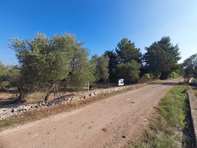 Terreno Agricolo / Coltura a Ruvo di Puglia