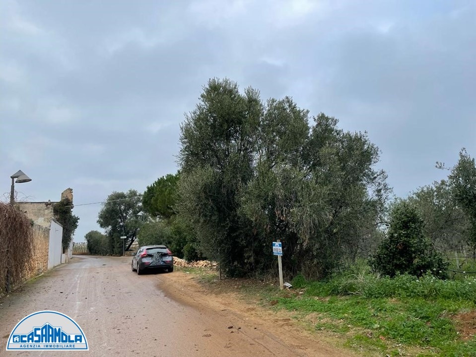 Agricolo / Coltura a Mola di Bari (zona Adiacente al Plenilunio alla Fortezza)