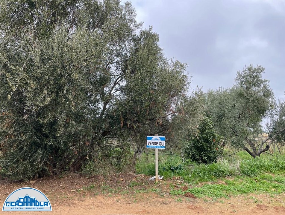 Agricolo / Coltura a Mola di Bari (zona Adiacente al Plenilunio alla Fortezza)