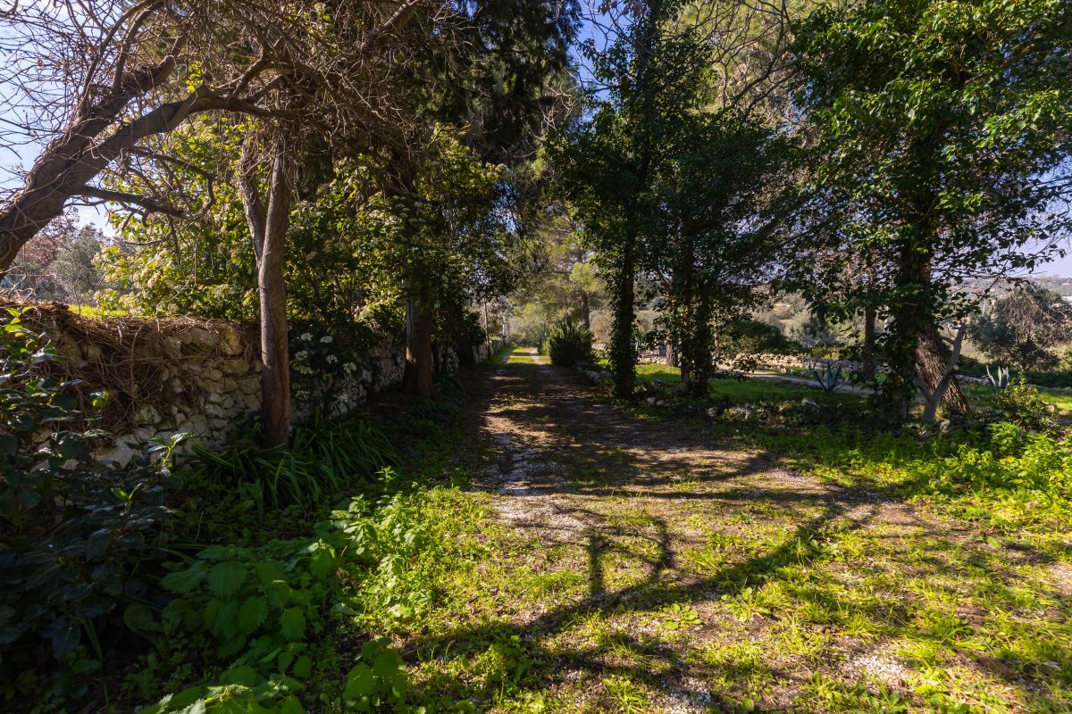 Casa indipendente di  3 vani /80 mq  a Ostuni (zona CONTRADA CERVAROLO)