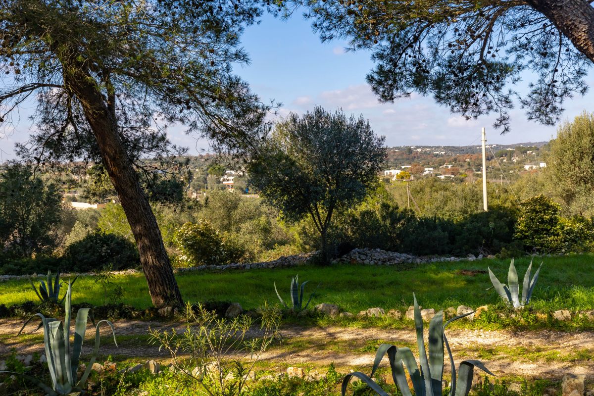 Casa indipendente di  3 vani /80 mq  a Ostuni (zona CONTRADA CERVAROLO)