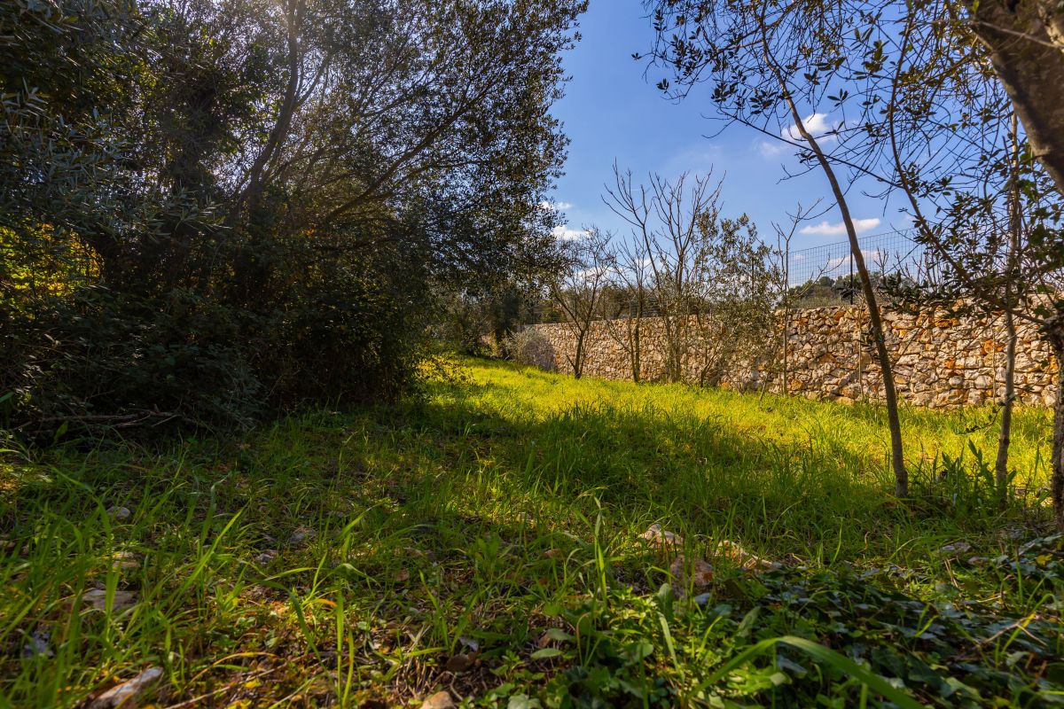 Casa indipendente di  3 vani /80 mq  a Ostuni (zona CONTRADA CERVAROLO)