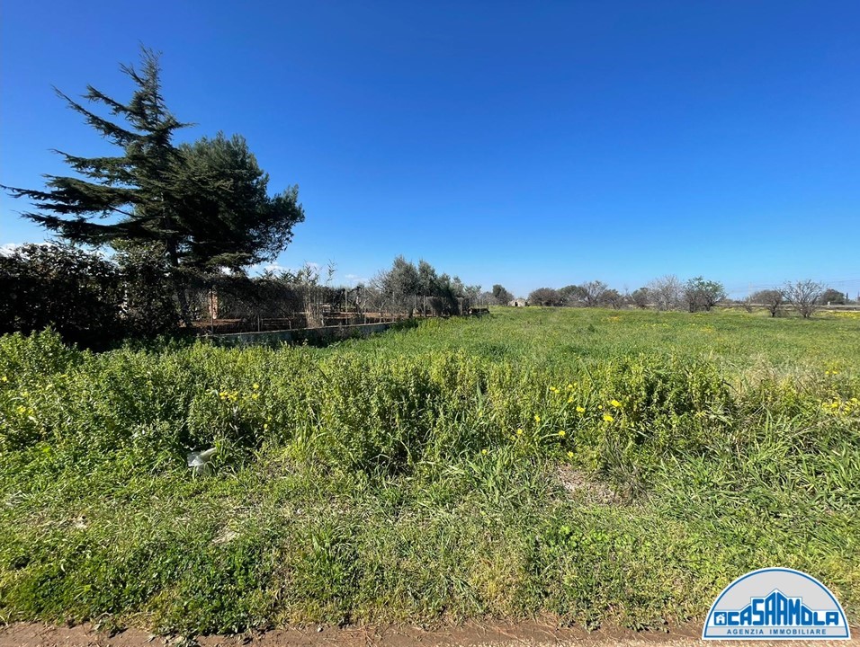 Terreno a Mola di Bari (zona Industriale)