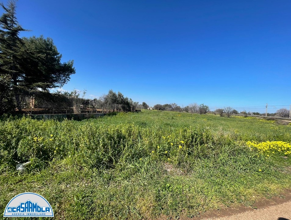 Terreno a Mola di Bari (zona Industriale)