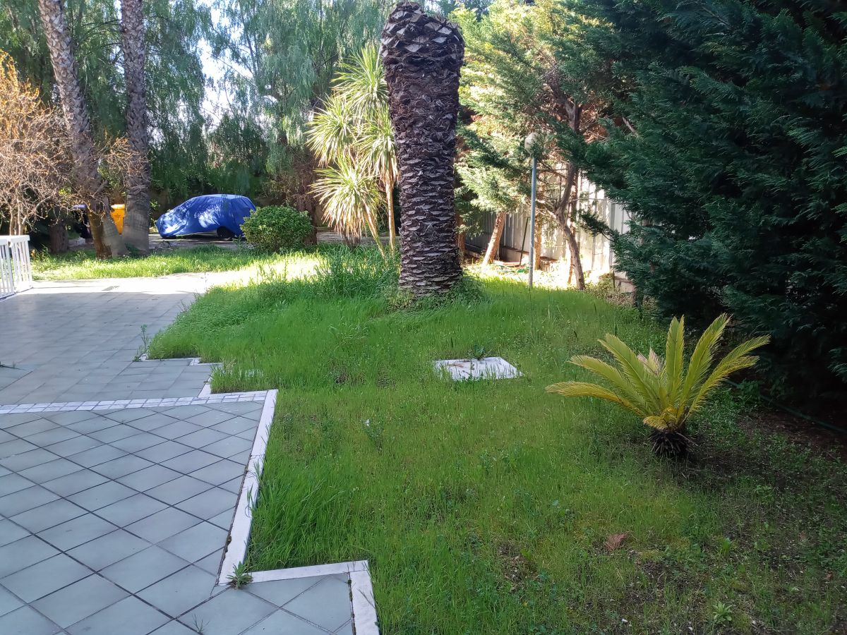 Appartamento di  6 vani /180 mq  a Bari - Poggiofranco (zona santa fara)