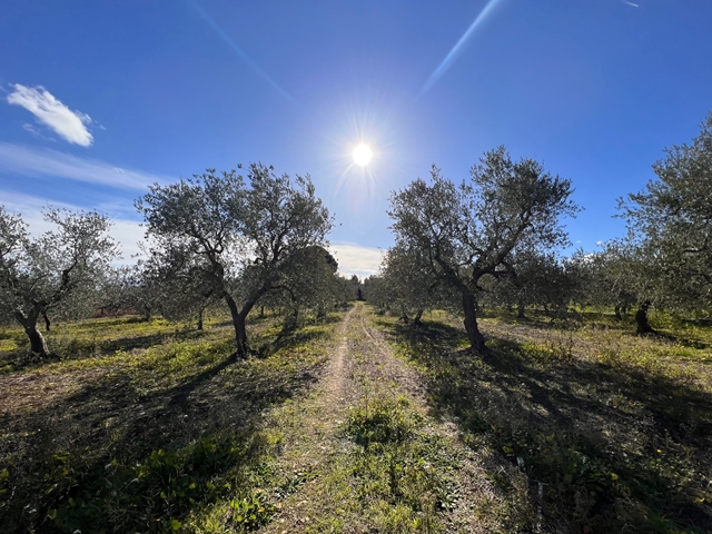 Villa (zona residenziale) di 3 vani /80 mq a Ruvo di Puglia