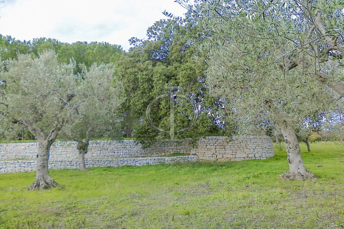 Rustico / Casale / Masseria di  6 vani /600 mq  a Conversano