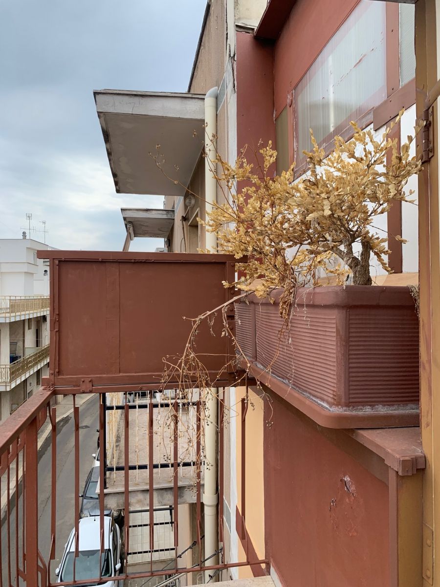 Appartamento di  3 vani /79 mq  a Noicattaro (zona Centro)