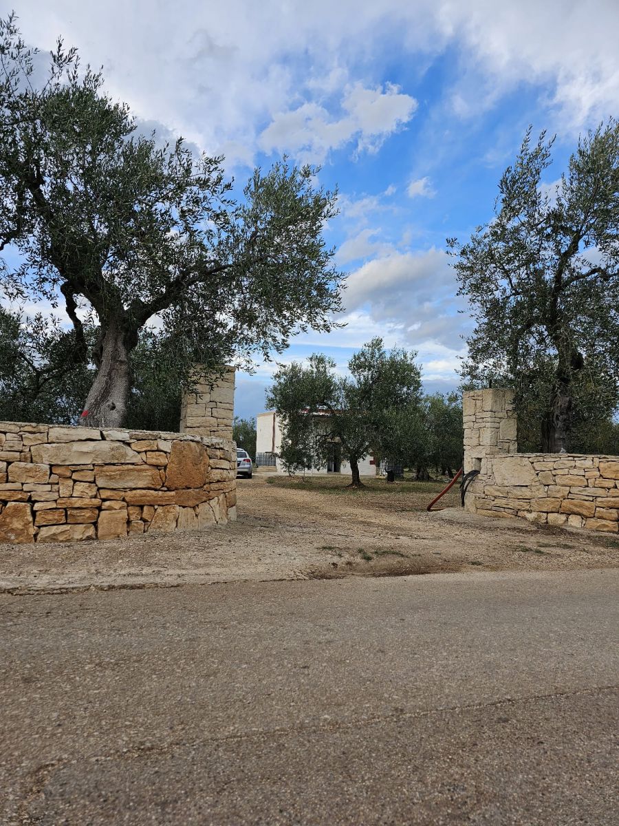 Terreno a Bitonto