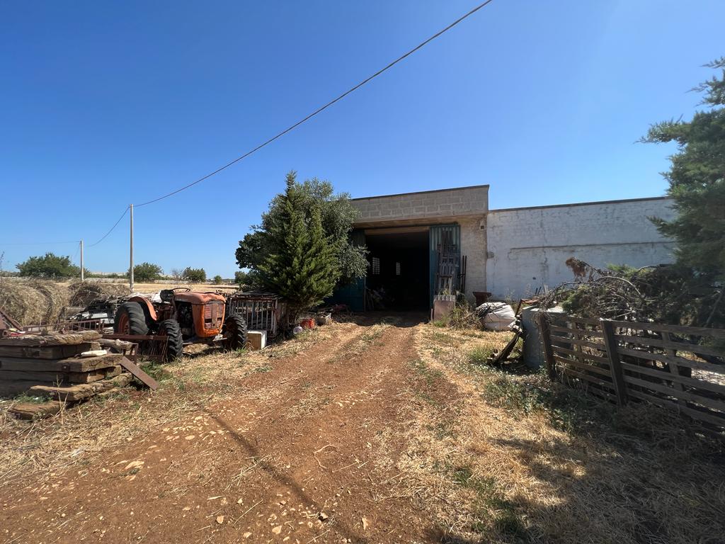 Rustico / Casale / Masseria di  3 vani /80 mq  a Conversano