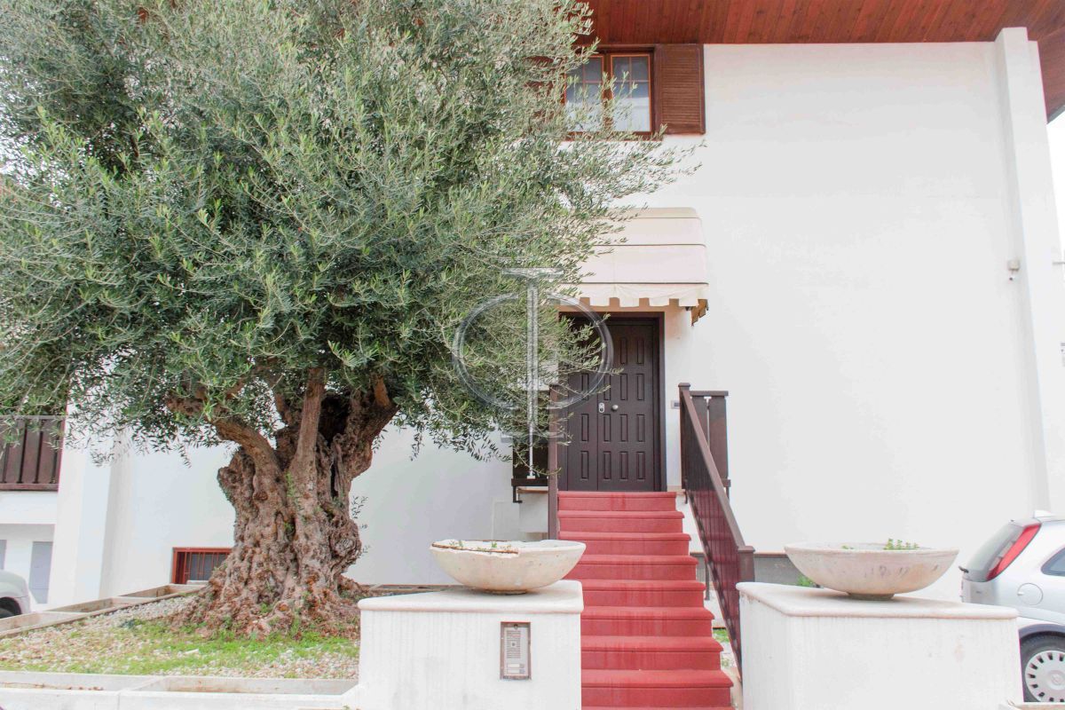 Villa (zona residenziale) di  6 vani /270 mq  a Bari - San Pasquale alta