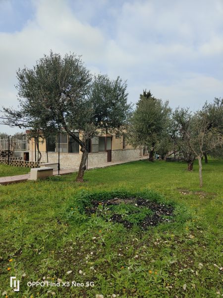 Rustico / Casale / Masseria di  1 vani /35 mq  a Bisceglie (zona Via s Andrea )