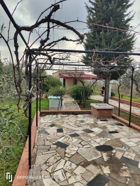 Rustico / Casale / Masseria di  1 vani /35 mq  a Bisceglie (zona Via s Andrea )