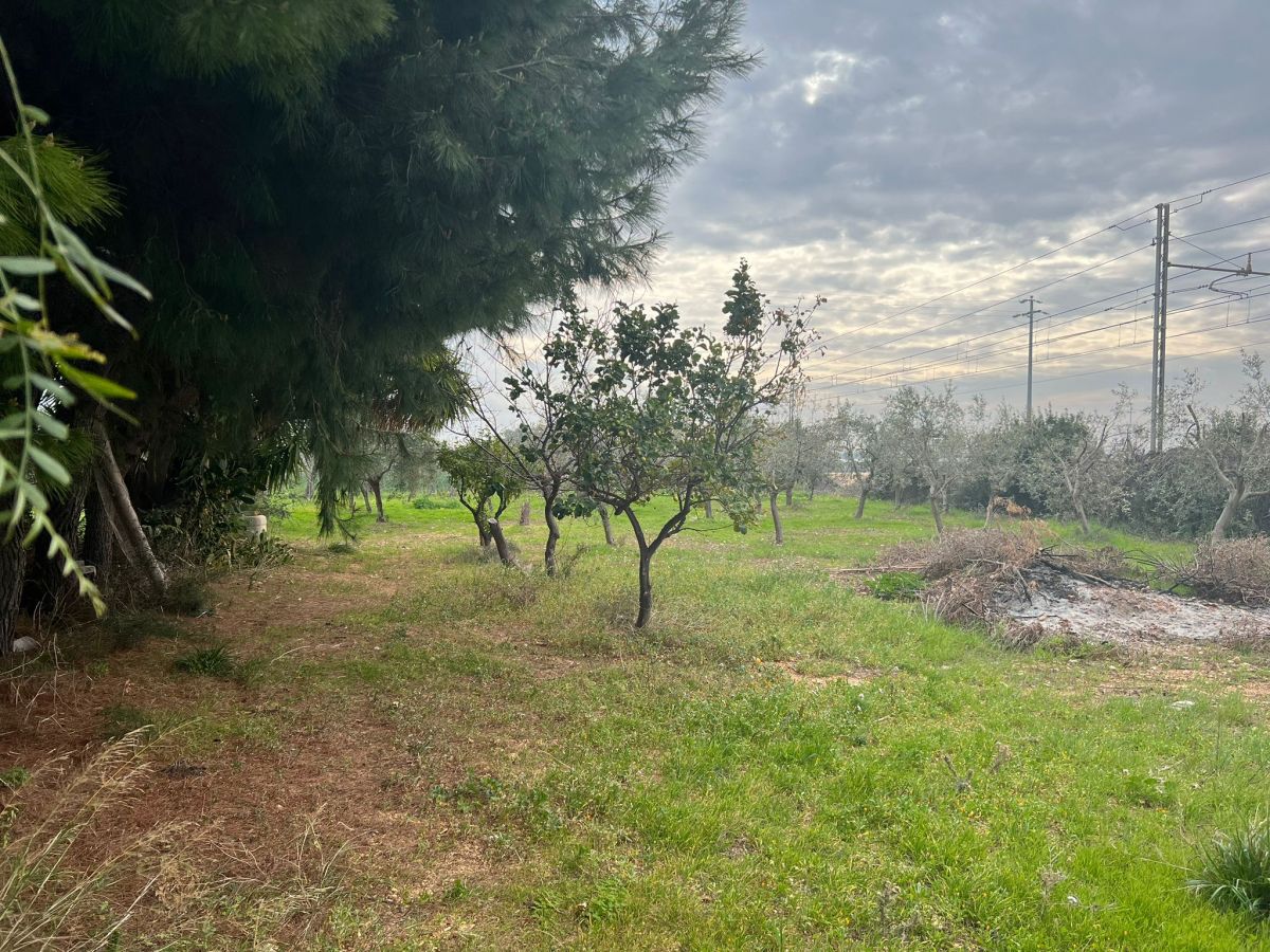 Rustico / Casale / Masseria di  1 vani /39 mq  a Polignano a Mare