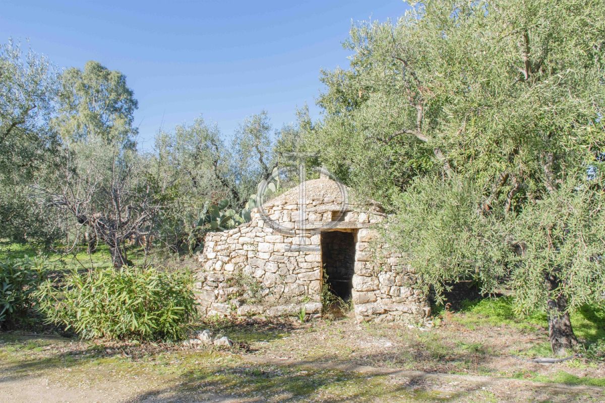 Villa (zona turistica) di  6 vani /1852 mq  a Bisceglie