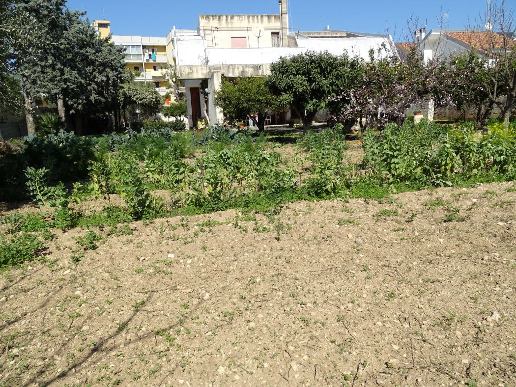 Bari Trav. Via Giulio Petroni, pressi Famila, villa unifamiliare con terreno di mq. 1500 circa in zona di espansione C2.