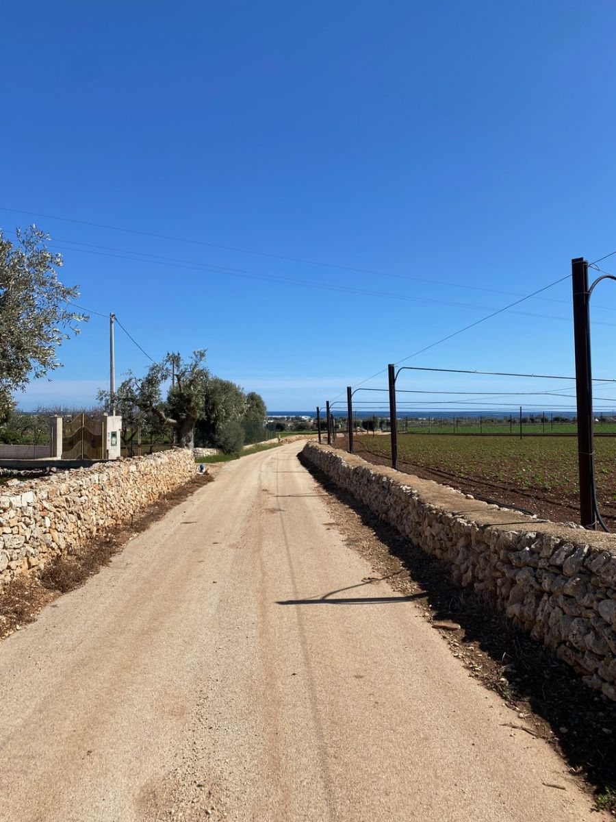 Agricolo / Coltura a Polignano a Mare (zona Contrada Grottole - Acquafredda)