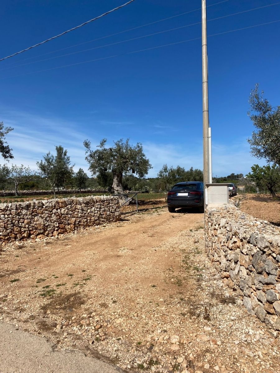 Agricolo / Coltura a Polignano a Mare (zona Contrada Grottole - Acquafredda)