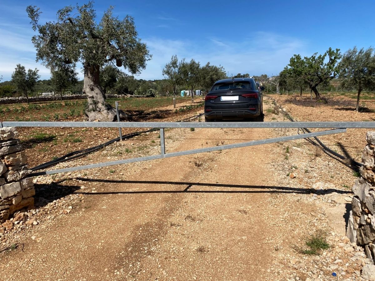 Agricolo / Coltura a Polignano a Mare (zona Contrada Grottole - Acquafredda)