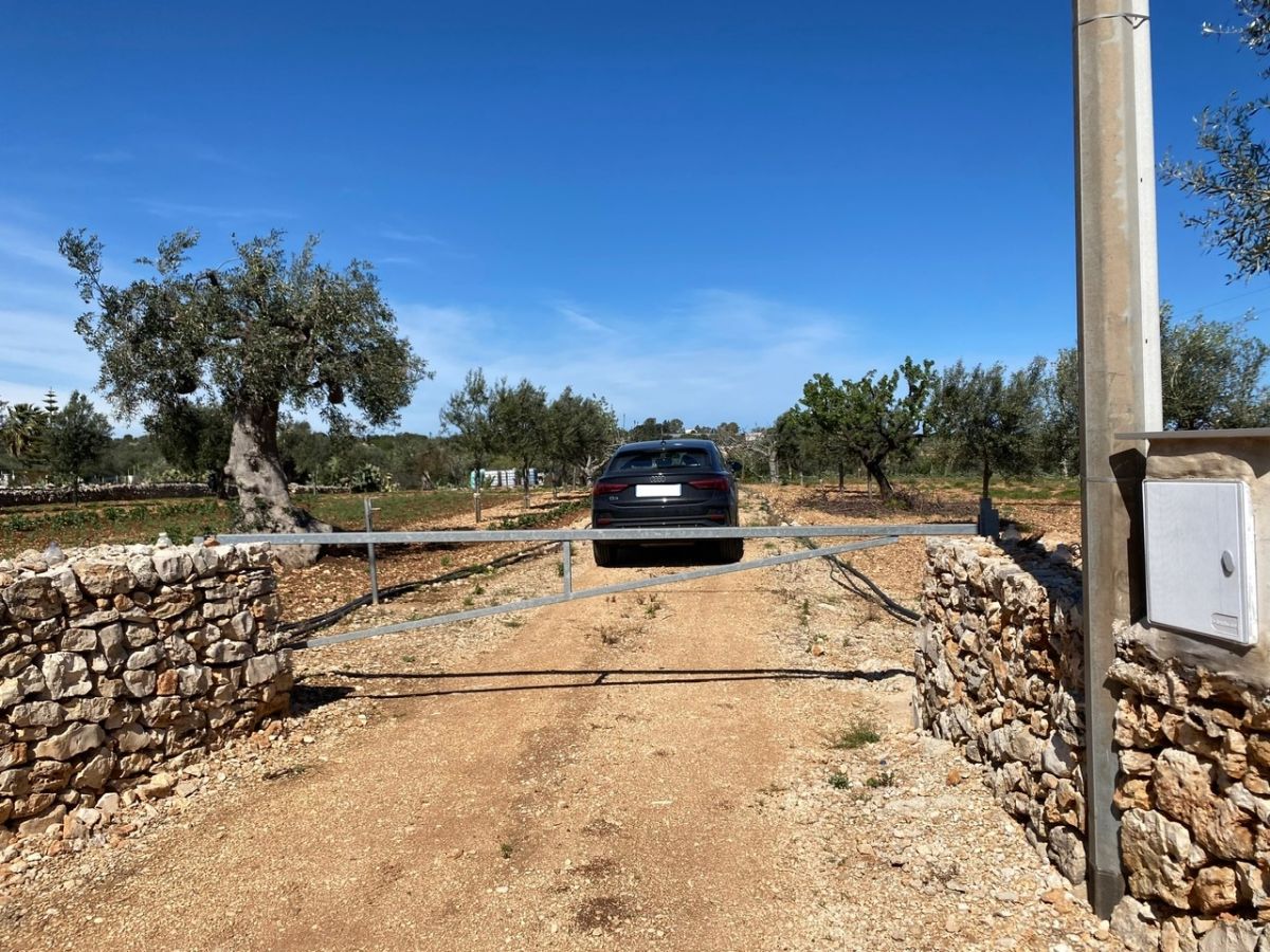 Agricolo / Coltura a Polignano a Mare (zona Contrada Grottole - Acquafredda)