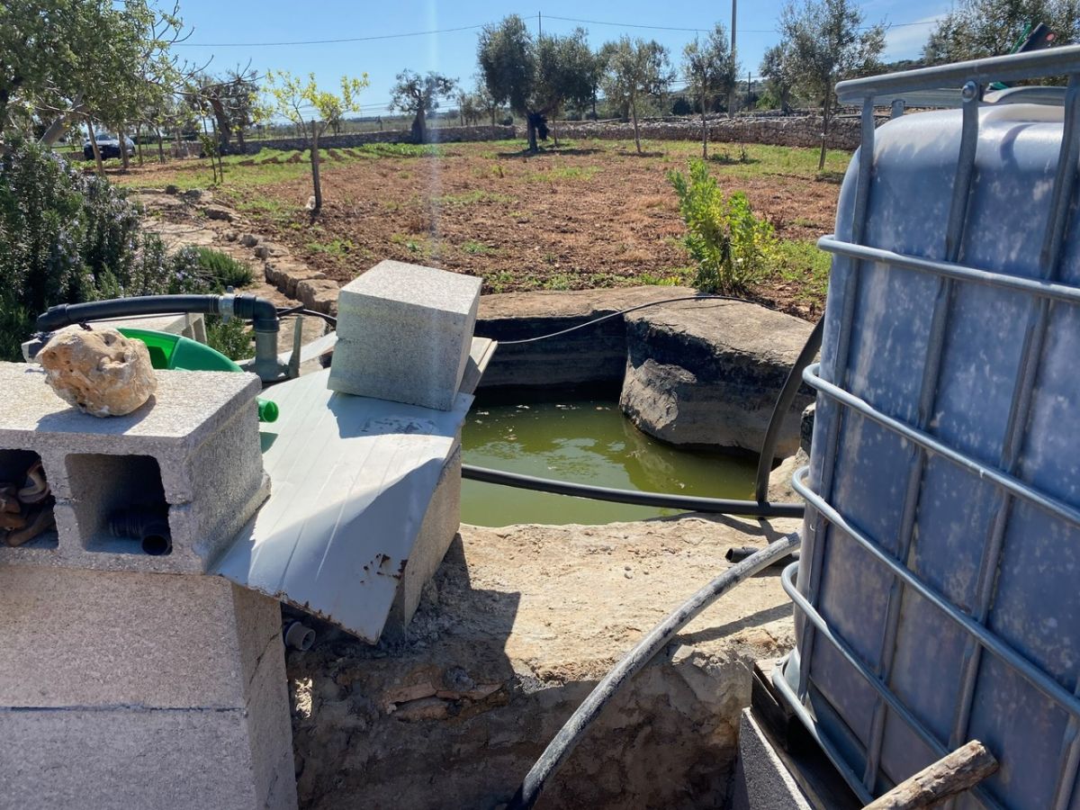 Agricolo / Coltura a Polignano a Mare (zona Contrada Grottole - Acquafredda)